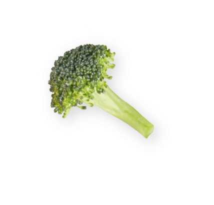 broccoli-2
