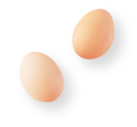 eggs