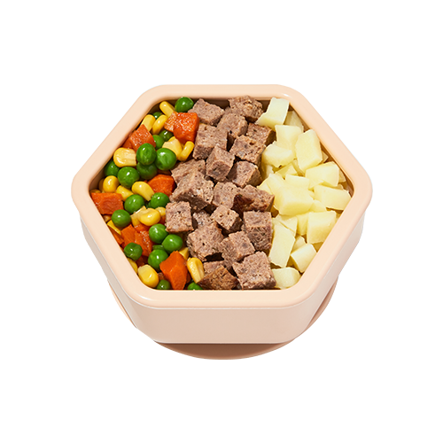 Shepherd's-Pie-with-Rainbow-Veggie-Medley